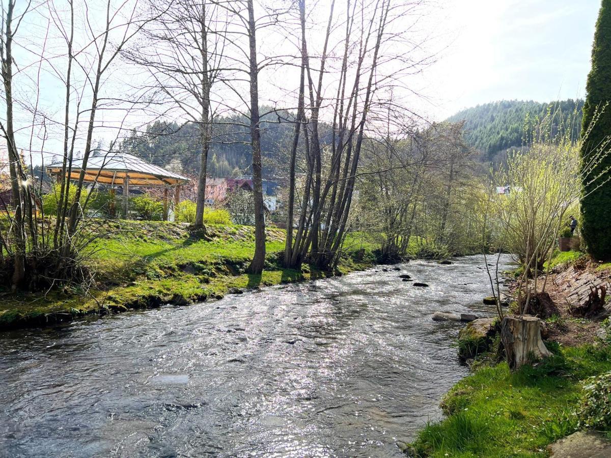 Ferienwohnung Kinzigblick - Balkon - Fuer Kinder - Mit Bettwaesche & Handtuecher Schenkenzell Экстерьер фото